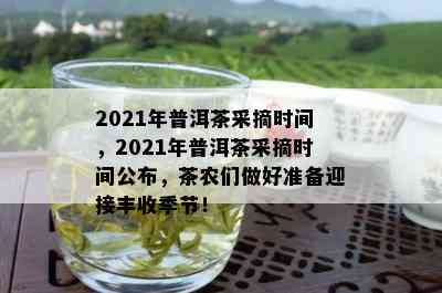 2021年普洱茶采摘时间，2021年普洱茶采摘时间公布，茶农们做好准备迎接丰收季节！