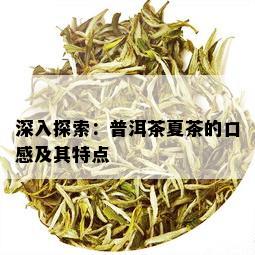 深入探索：普洱茶夏茶的口感及其特点