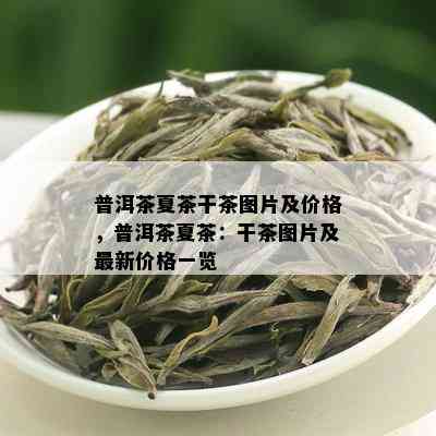 普洱茶夏茶干茶图片及价格，普洱茶夏茶：干茶图片及最新价格一览