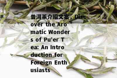 普洱茶介绍文案，Discover the Aromatic Wonders of Pu'er Tea: An Introduction for Foreign Enthusiasts