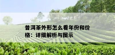 普洱茶外形怎么看年份和价格：详细解析与图示