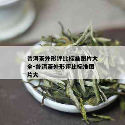 普洱茶外形评比标准图片大全-普洱茶外形评比标准图片大