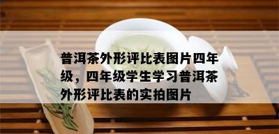 普洱茶外形评比表图片四年级，四年级学生学习普洱茶外形评比表的实拍图片