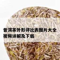 普洱茶外形评比表图片大全视频详解及下载