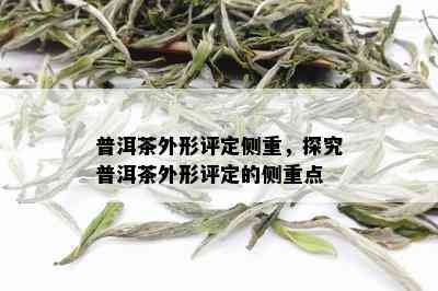 普洱茶外形评定侧重，探究普洱茶外形评定的侧重点