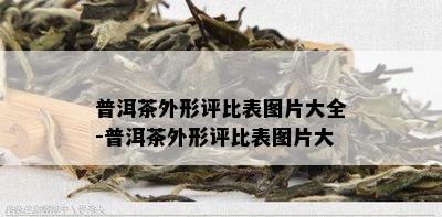 普洱茶外形评比表图片大全-普洱茶外形评比表图片大