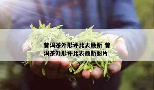 普洱茶外形评比表最新-普洱茶外形评比表最新图片