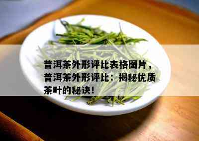 普洱茶外形评比表格图片，普洱茶外形评比：揭秘优质茶叶的秘诀！