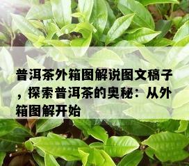 普洱茶外箱图解说图文稿子，探索普洱茶的奥秘：从外箱图解开始