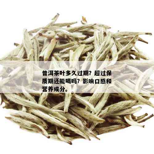 普洱茶叶多久过期？超过保质期还能喝吗？影响口感和营养成分。