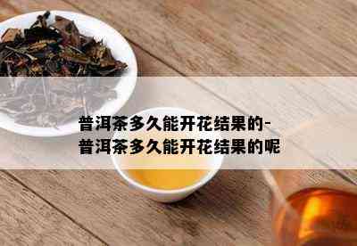 普洱茶多久能开花结果的-普洱茶多久能开花结果的呢