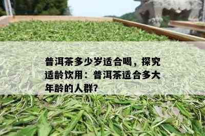 普洱茶多少岁适合喝，探究适龄饮用：普洱茶适合多大年龄的人群？