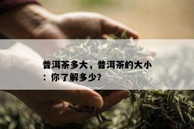 普洱茶多大，普洱茶的大小：你了解多少？