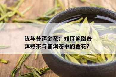 陈年普洱金花：如何鉴别普洱熟茶与普洱茶中的金花？