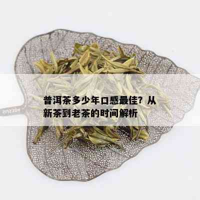 普洱茶多少年口感更佳？从新茶到老茶的时间解析