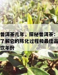 普洱茶几年，探秘普洱茶：了解它的陈化过程和更佳品饮年份