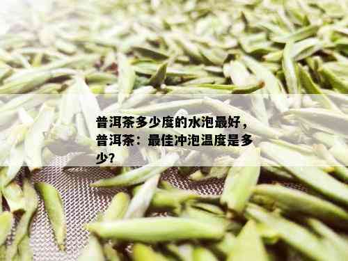 普洱茶多少度的水泡更好，普洱茶：更佳冲泡温度是多少？