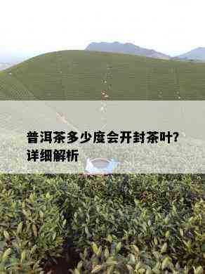 普洱茶多少度会开封茶叶？详细解析