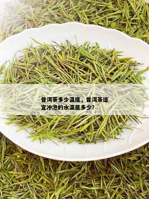 普洱茶多少温度，普洱茶适宜冲泡的水温是多少？