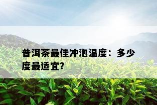 普洱茶更佳冲泡温度：多少度最适宜？