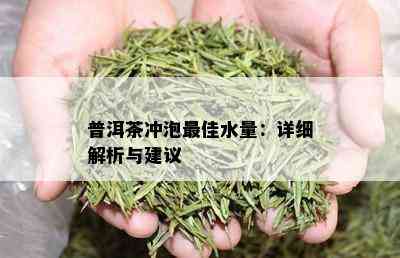 普洱茶冲泡更佳水量：详细解析与建议