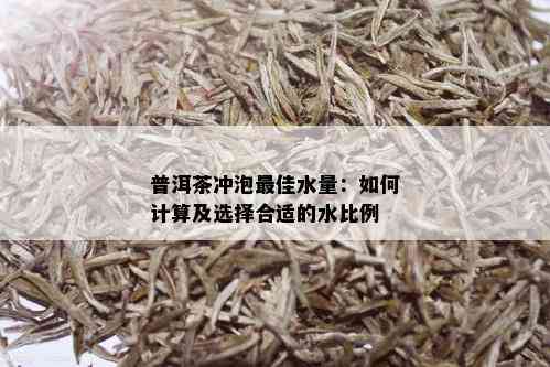 普洱茶冲泡更佳水量：如何计算及选择合适的水比例