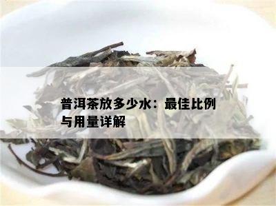 普洱茶放多少水：更佳比例与用量详解