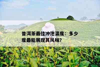 普洱茶更佳冲泡温度：多少度最能展现其风味？