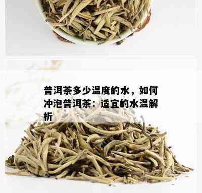 普洱茶多少温度的水，如何冲泡普洱茶：适宜的水温解析