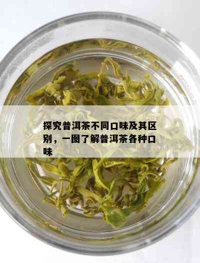 探究普洱茶不同口味及其区别，一图了解普洱茶各种口味