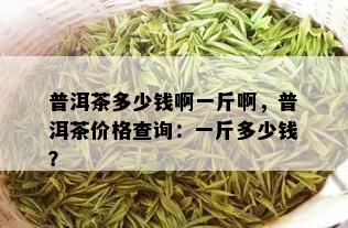 普洱茶多少钱啊一斤啊，普洱茶价格查询：一斤多少钱？