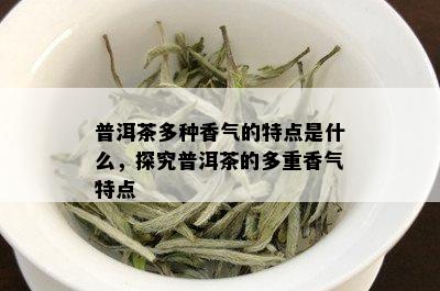 普洱茶多种香气的特点是什么，探究普洱茶的多重香气特点