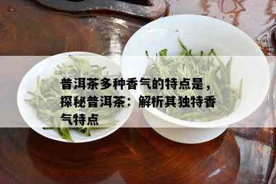 普洱茶多种香气的特点是，探秘普洱茶：解析其独特香气特点