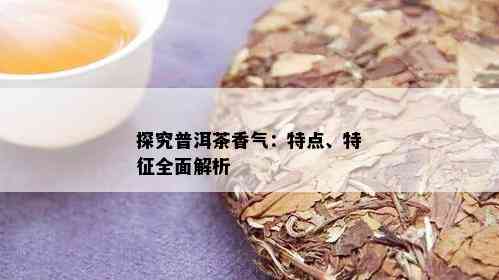 探究普洱茶香气：特点、特征全面解析