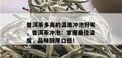 普洱茶多高的温度冲泡好呢，普洱茶冲泡：掌握更佳温度，品味醇厚口感！