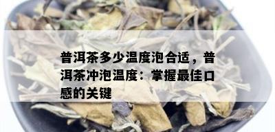 普洱茶多少温度泡合适，普洱茶冲泡温度：掌握更佳口感的关键