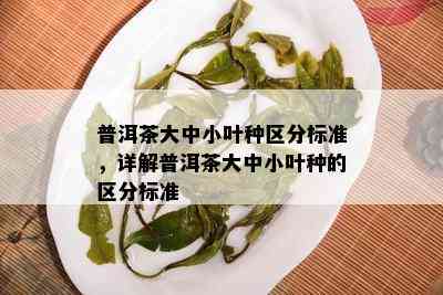 普洱茶大中小叶种区分标准，详解普洱茶大中小叶种的区分标准