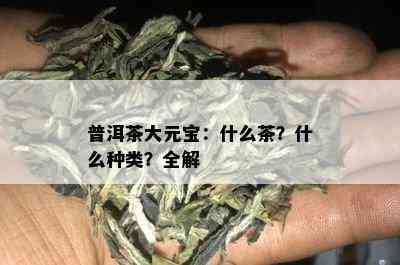 普洱茶大元宝：什么茶？什么种类？全解