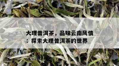 大理普洱茶，品味云南风情：探索大理普洱茶的世界