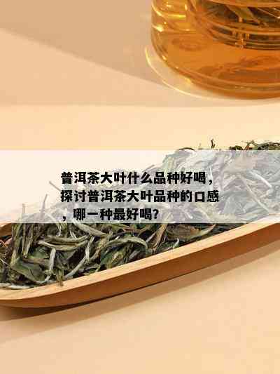 普洱茶大叶什么品种好喝，探讨普洱茶大叶品种的口感，哪一种更好喝？