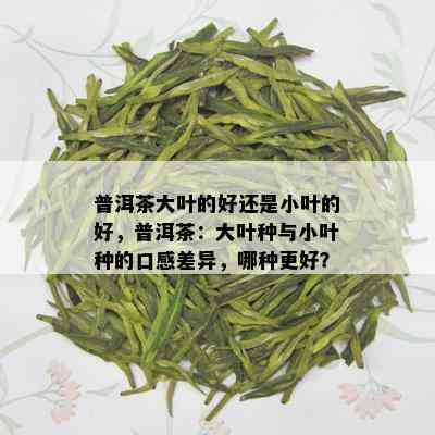 普洱茶大叶的好还是小叶的好，普洱茶：大叶种与小叶种的口感差异，哪种更好？