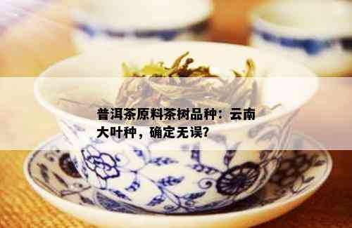 普洱茶原料茶树品种：云南大叶种，确定无误？