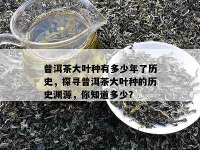 普洱茶大叶种有多少年了历史，探寻普洱茶大叶种的历史渊源，你知道多少？