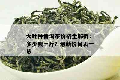 大叶种普洱茶价格全解析：多少钱一斤？最新价目表一览