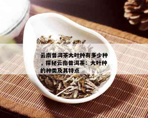 云南普洱茶大叶种有多少种，探秘云南普洱茶：大叶种的种类及其特点