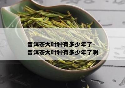 普洱茶大叶种有多少年了-普洱茶大叶种有多少年了啊