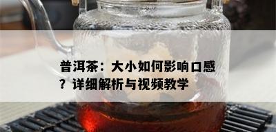 普洱茶：大小如何影响口感？详细解析与视频教学