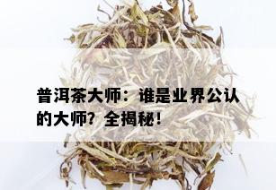 普洱茶大师：谁是业界公认的大师？全揭秘！