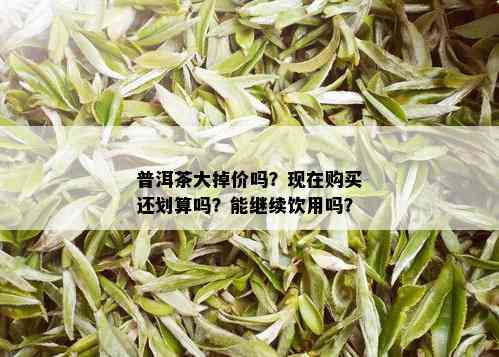 普洱茶大掉价吗？现在购买还划算吗？能继续饮用吗？