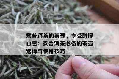 煮普洱茶的茶壶，享受醇厚口感：煮普洱茶必备的茶壶选择与使用技巧